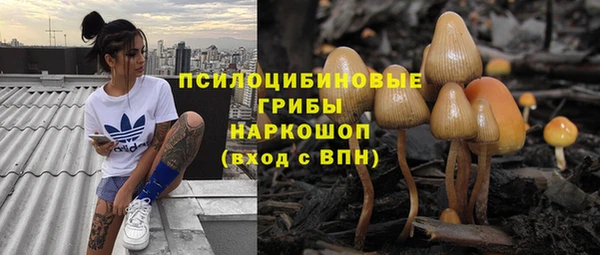 гашик Армянск